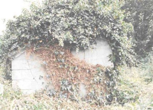 Maghera CofI Anonymous